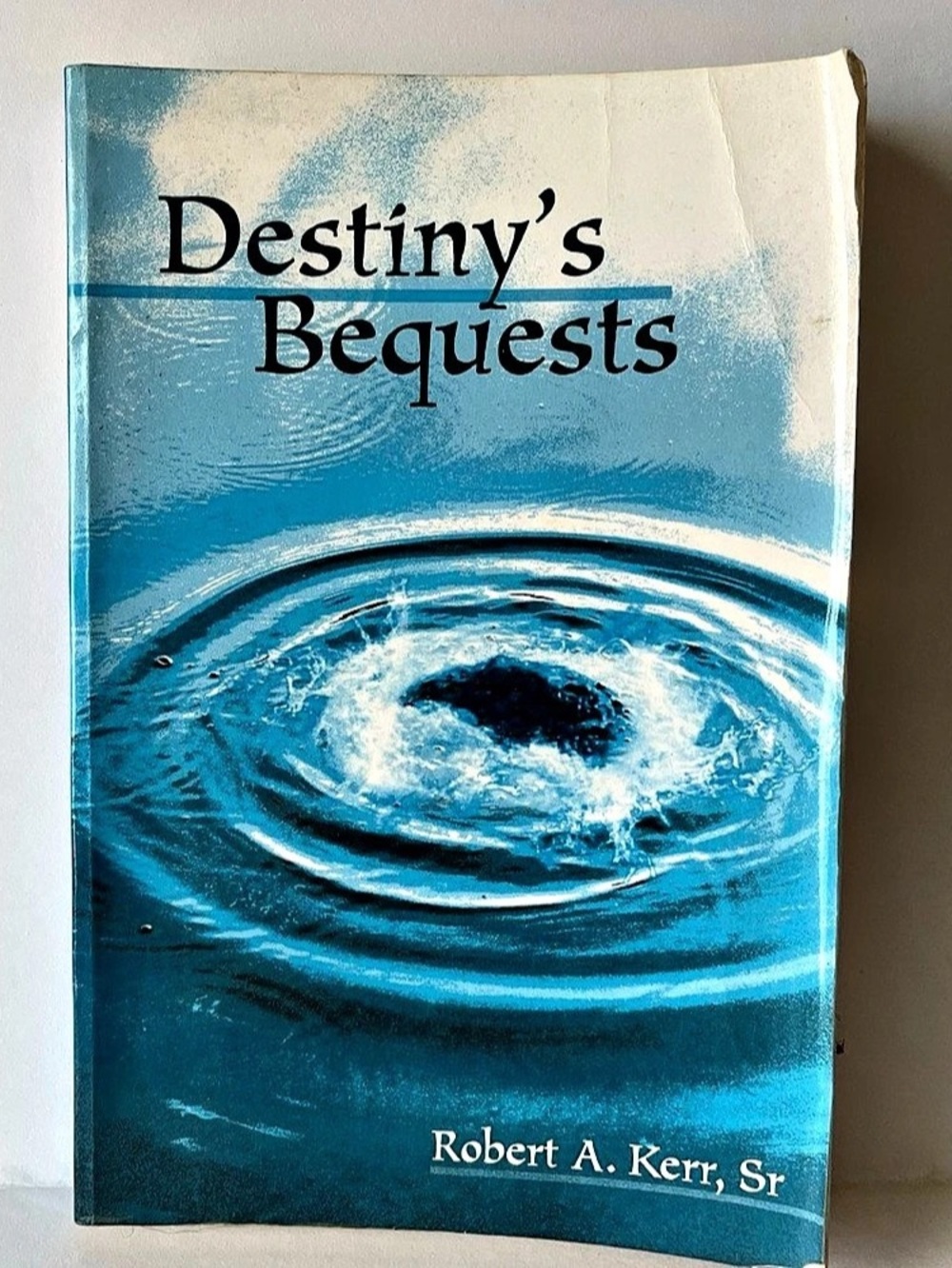 iUniverse Destiny’s Bequests Paperback Book Blue